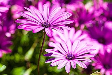 这些功能在《战地2042》Beta中统统没有